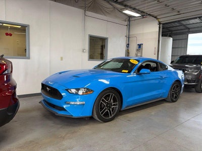 2023 Ford Mustang EcoBoost