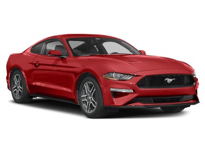 2023 Ford Mustang EcoBoost