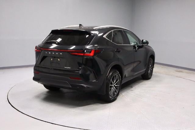 2024 Lexus NX 250 250 Premium