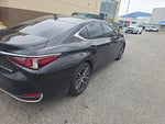 2024 Lexus ES 250 250